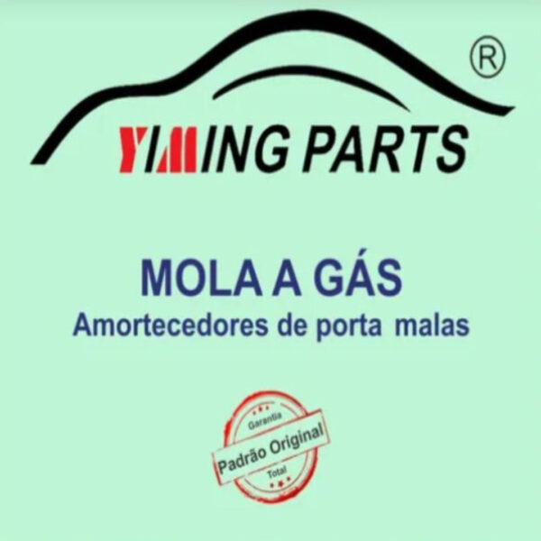 Par Amortecedor Porta Mala Tampa Traseira Peugeot Sw 206 207 - Image 2